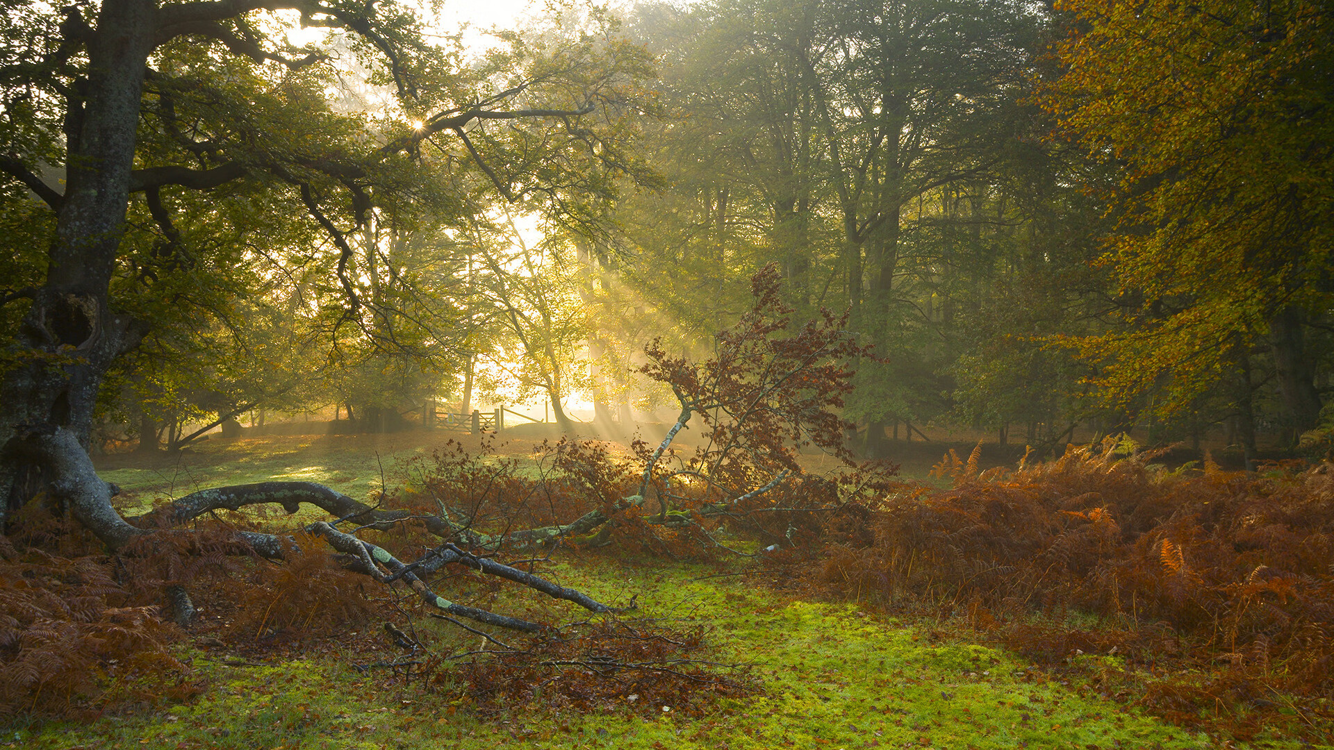 开云网页版登录入口-摩洛哥队在巴黎奥运会男足比赛中表现出色，赢得金牌，摩洛哥足球俱乐部