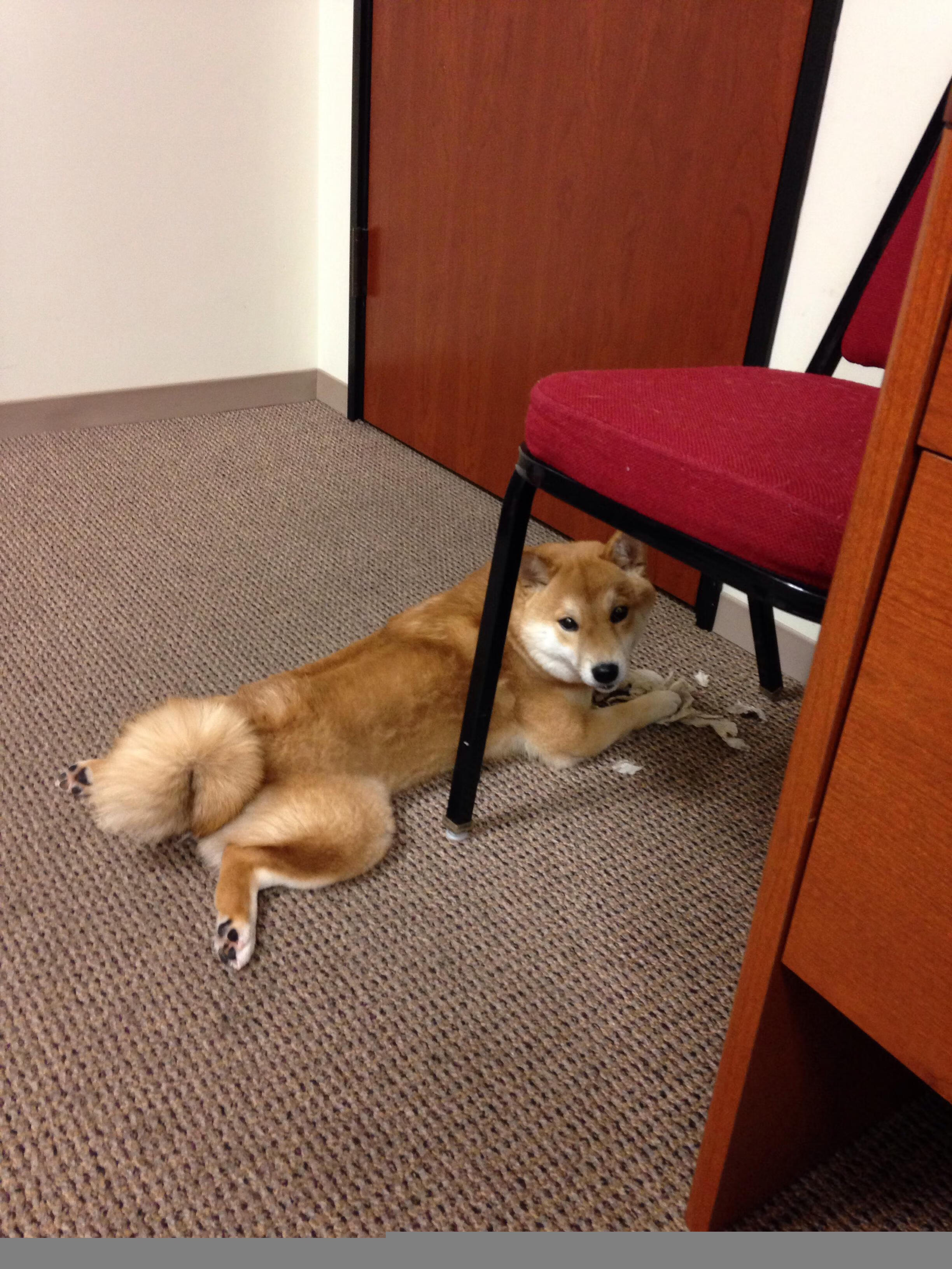 开云·体育官网APP下载-客场逆袭实力抢眼，成绩斐然引发热议，客场惨败