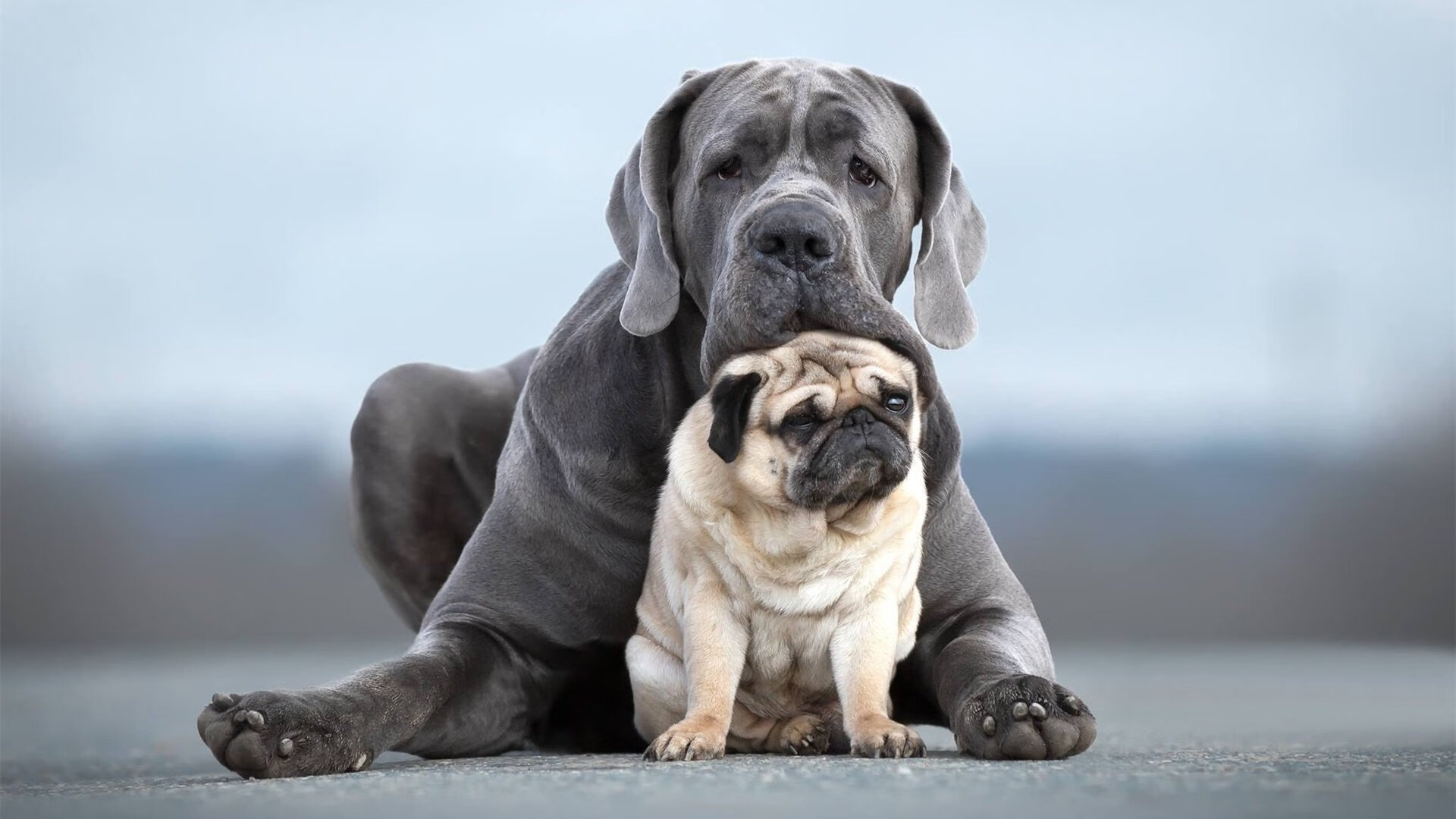 巴萨主场3-0战胜皇家社会，进攻火力全开，0203巴萨