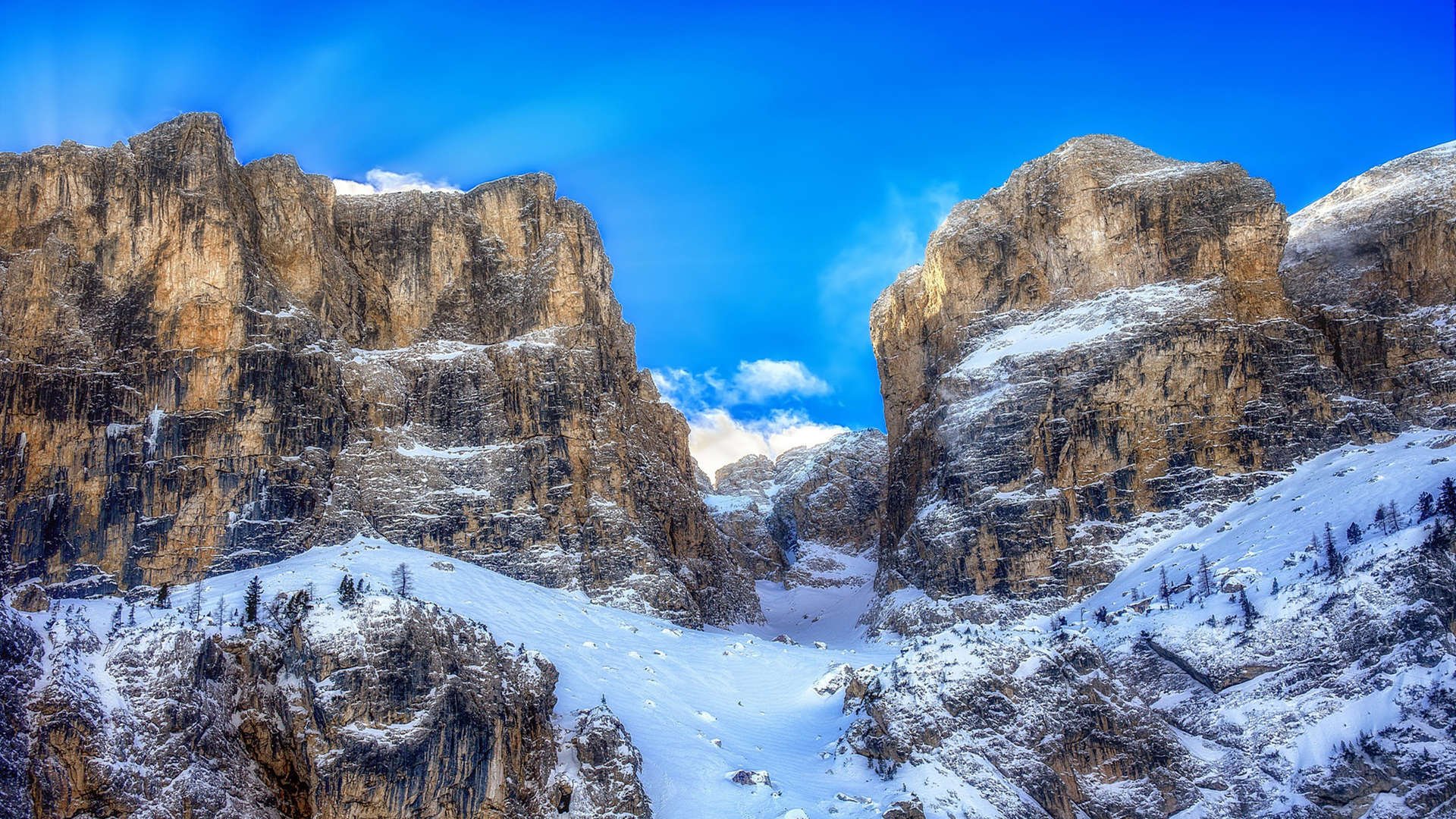 拜仁慕尼黑将士集结备战，展现决胜毅力，拜仁慕尼黑成员