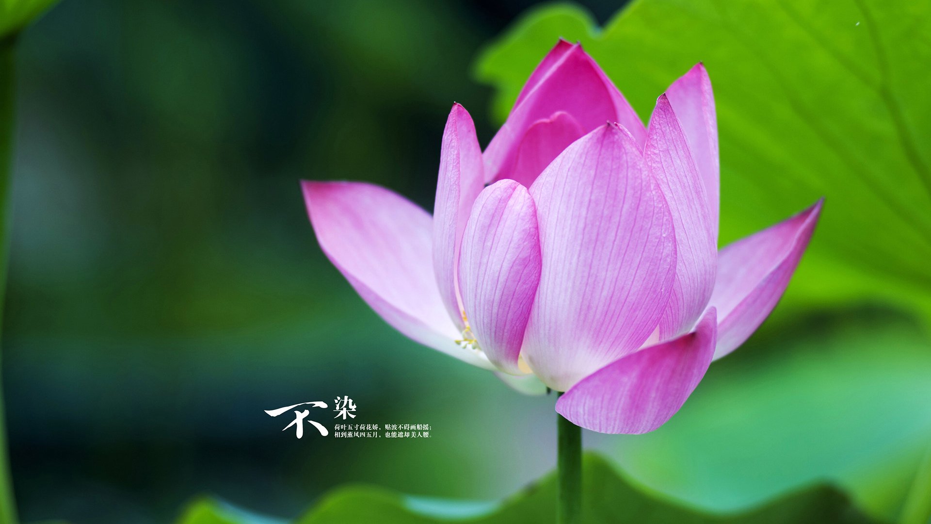 开云体育-昂热连胜考验未过，教练组展望前途，昂热是谁