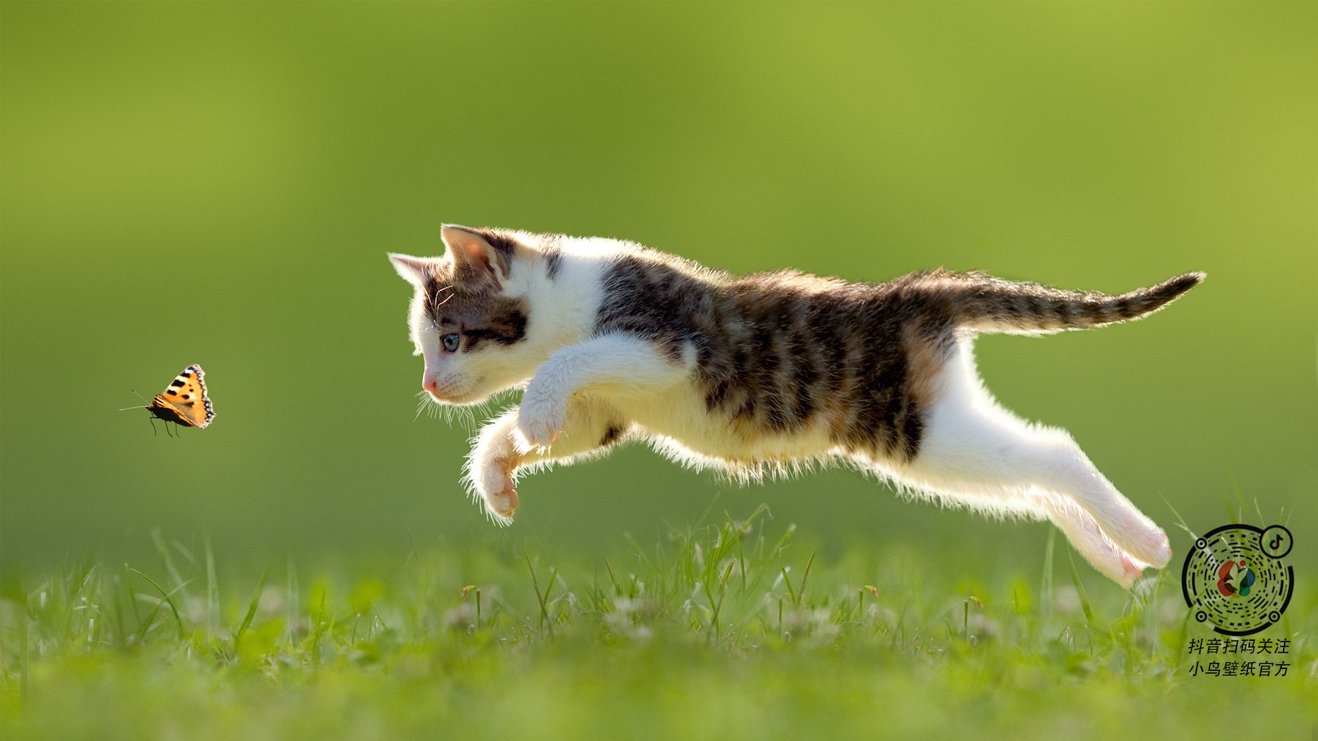 波尔图铁桶阵助推晋级，展现稳固实力，0304波尔图