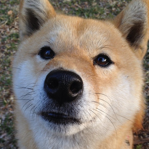 电竞赛事的国际合作与跨文化交流，电竞赛事的国际合作与跨文化交流有哪些