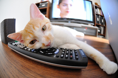 kaiyun网站-罗马签下实力前锋，罗马队实力