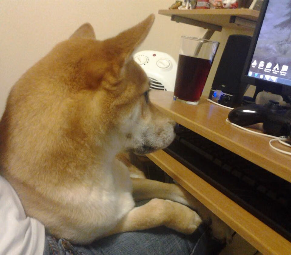 罗马取胜大战，迎接下一阶段挑战，罗马进攻