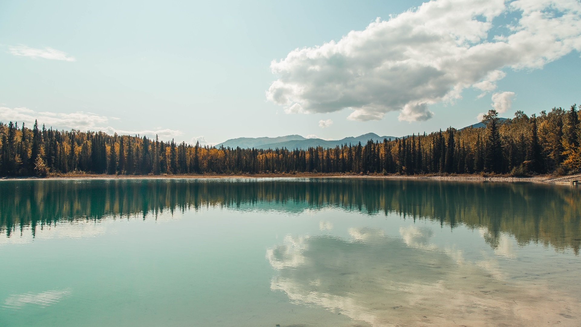 葡萄牙女足未能晋级巴黎奥运会，葡萄牙女足水平