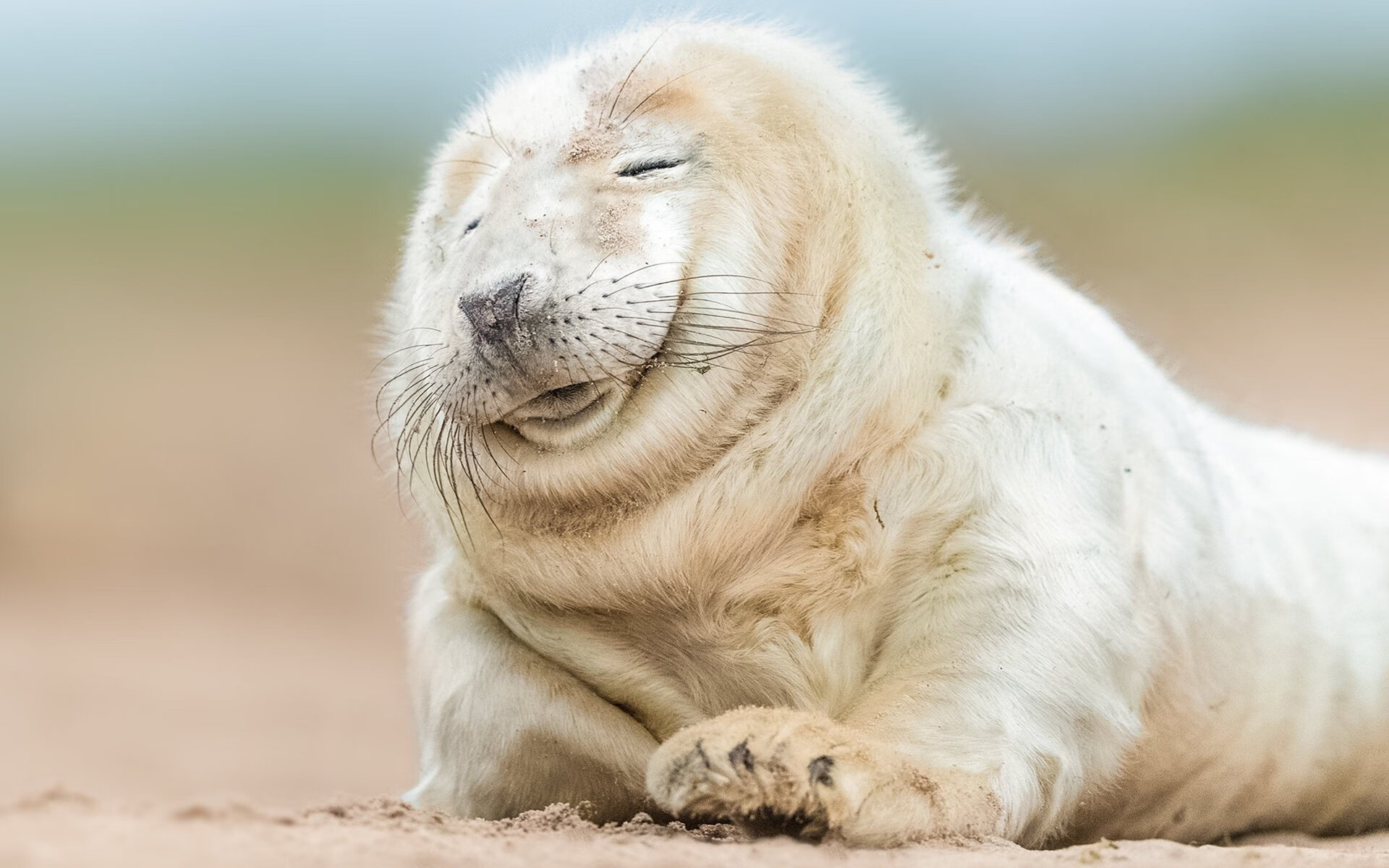 开云网站-阿尔阿赫利年轻力量显现，阿尔阿赫利足球俱乐部