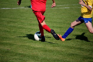 开云网页版-NBA球员训练计划优化设计，nba运动员训练计划