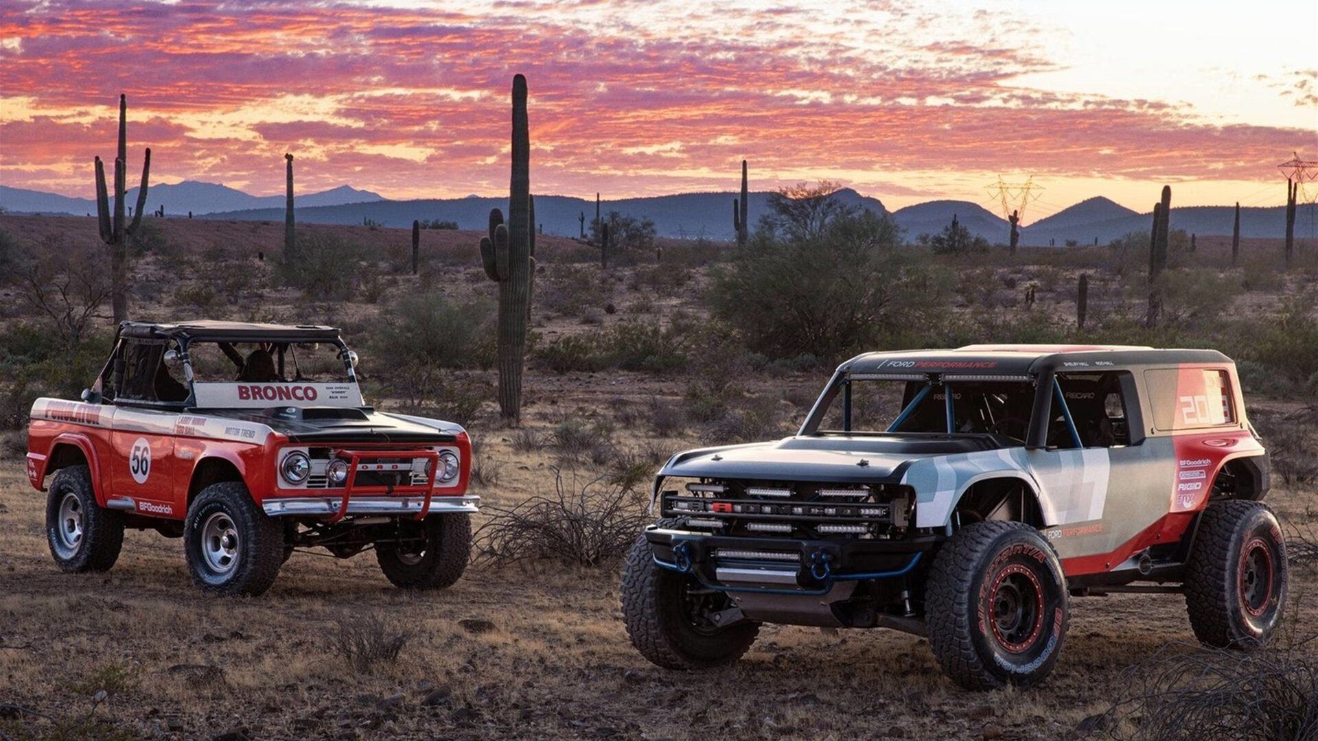 NBA球员训练营效果评估及优化建议，nba训练营开始时间
