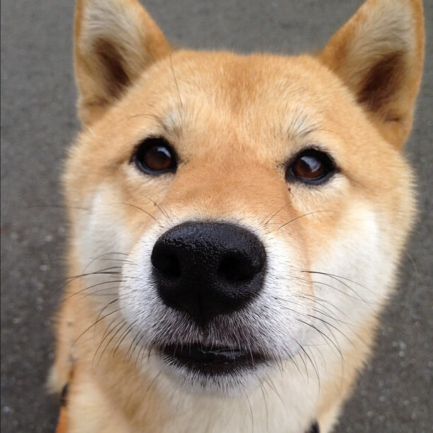 中超球队场均射门转化率分析,足球射门进球率