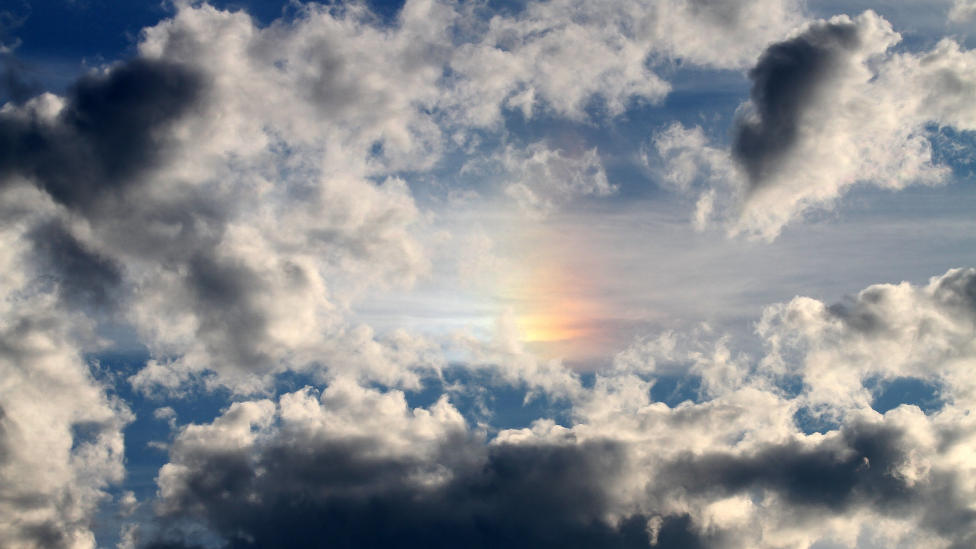 体育课程数字资源整合策略，体育数字教材