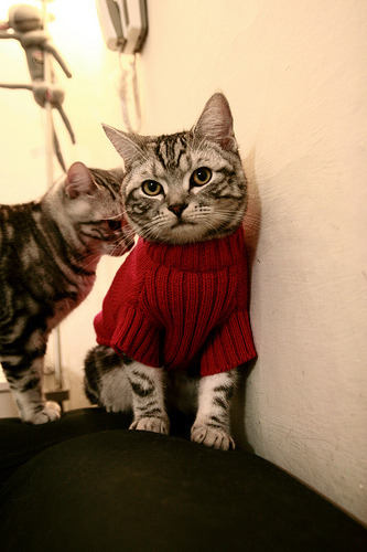 国足大赛阶段得失球分布对比分析，国足大赛成绩汇总