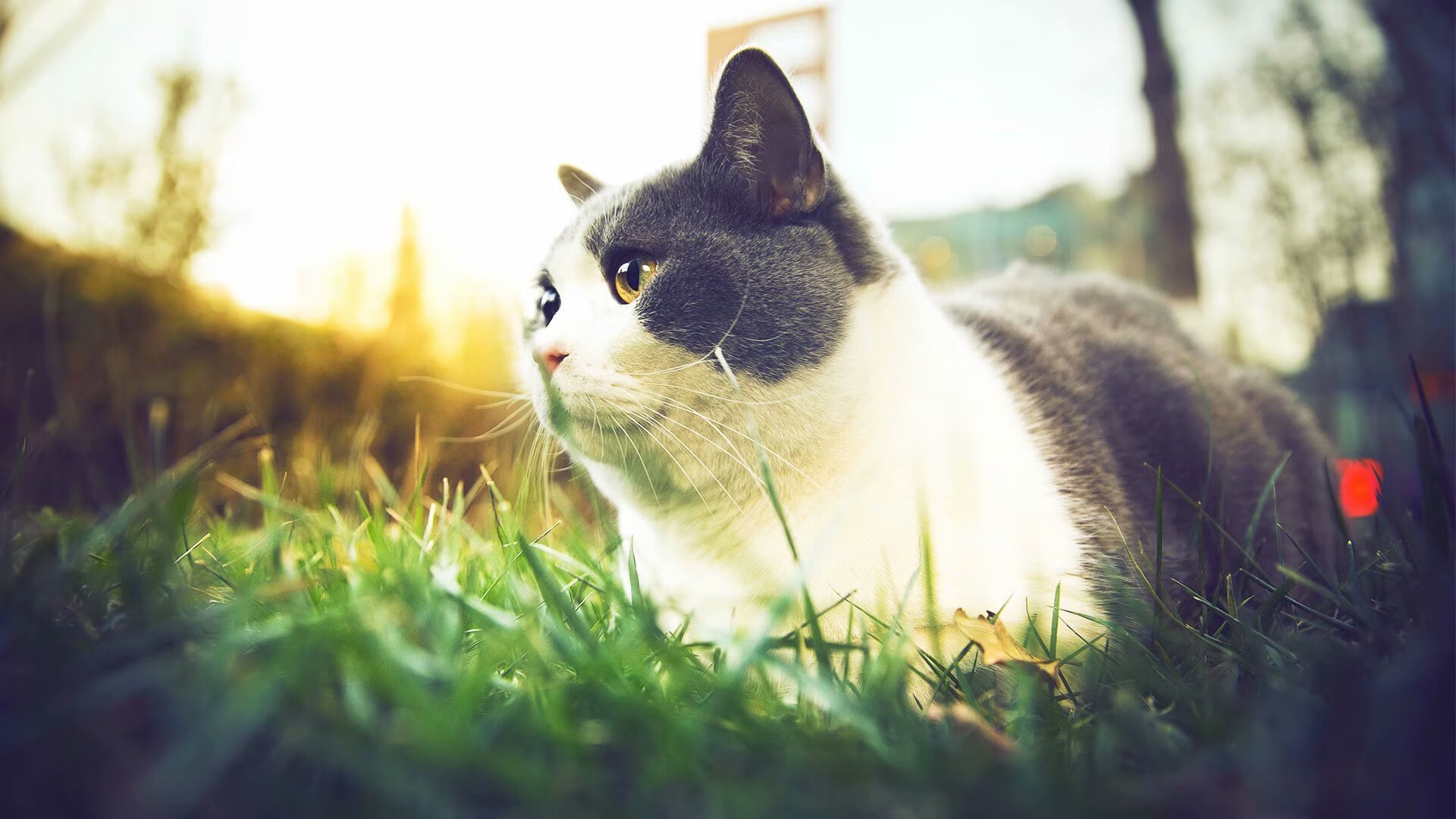 中国女泳队团队氛围积极，中国游泳女队名将