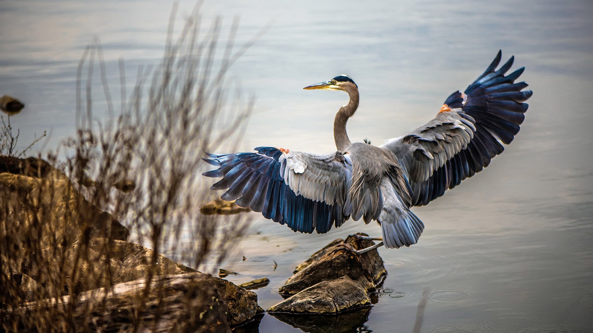 国际热身赛中国足球爆冷 球迷分析比赛失利原因,中国足球队热身赛