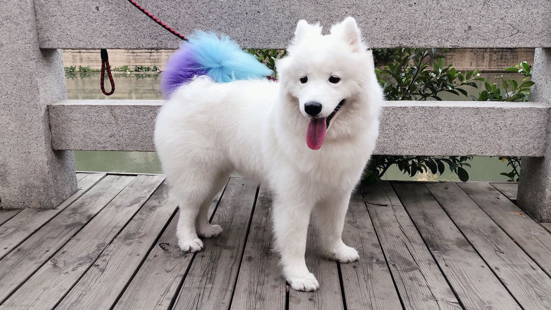 开云官方网页登录-滑板国家青年集训营选拔活动在沪举行，中国青少年滑板锦标赛冠军