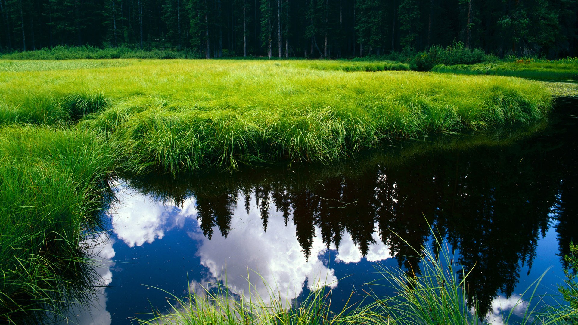 开云平台-职业联赛内部调度权责划分模糊