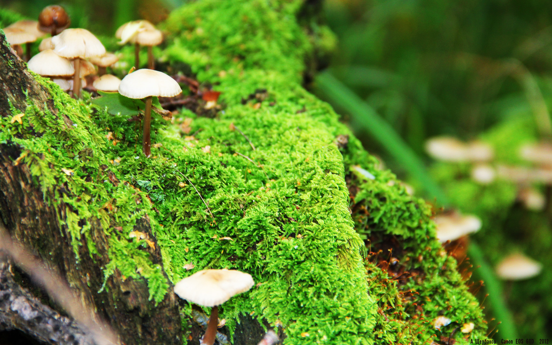 开云入口-中超赛后数据分析常态化促进教练临场调整能力，中超比赛规则改革