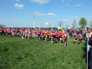 开云·体育官网APP下载-青少年选拔机制改革更加公开透明吸引更多优秀苗子参与，青少年选拔赛比赛结果