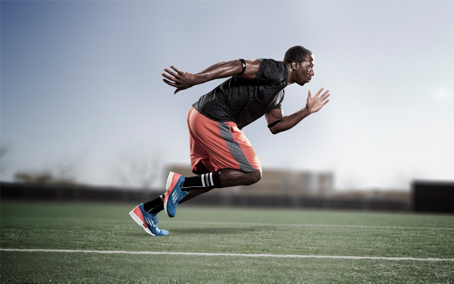 绿色赛场:打造碳中和的F1盛会,绿色碳中和概念股